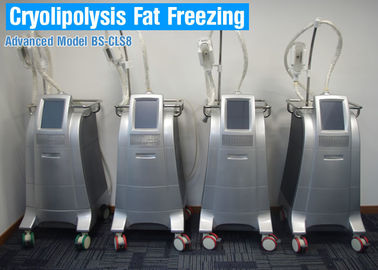 CoolSculpting Cryolipolysis Vücut Zayıflama Makinesi / Yağ Azaltma Ekipmanları Ağrısız