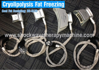 4 Hızlı Yağ Azaltma İçin Cryolipolysis Zayıflama Ekipmanları Zayıflama Makinesi Kolları