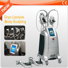 Cryolipolysis Yağ Donma Zayıflama Makinesi 4 Güzellik Salonu Veya Klinik Kullanımı İçin Saplı