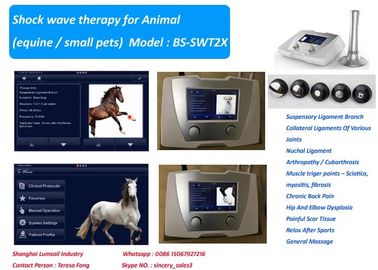 At Ve Küçük Hayvanlar İçin 190 MJ Yüksek Enerji Veteriner Şok Terapi Makinesi