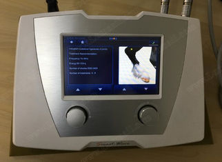 Patellar Tendinopatide İçin Veteriner Tıbbi Atçılık Shockwave Makinesi