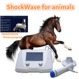 Köpekler / Atlar İçin Beyaz Veteriner Equine Shockwave Makinesi Ekipmanları