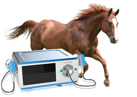 At Sırt Ağrısı İçin Odaklanmış Verici At Shockwave Terapi Makinesi