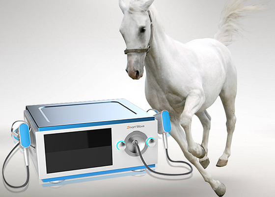 Ağrı Atlar Tıbbi Cihaz İçin Düşük Gürültü At Shockwave Makinesi Azaltın
