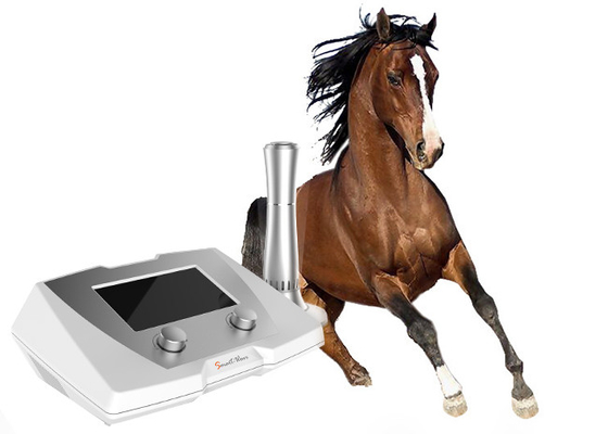 Yarış atı için yüksek enerji veteriner şok dalgası terapi makinesi