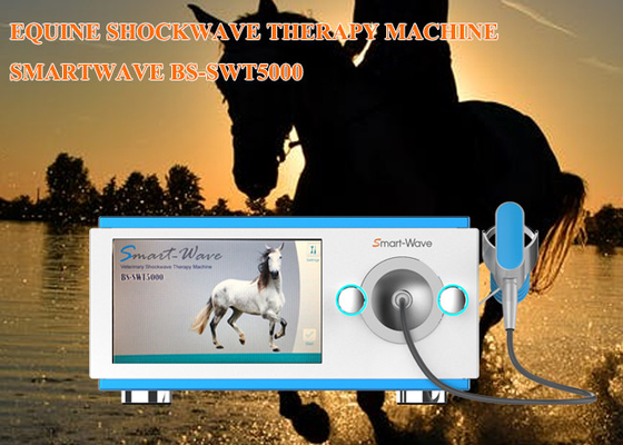 At basit tasarımı için veteriner tıbbi fizik tedavi şok makinesi