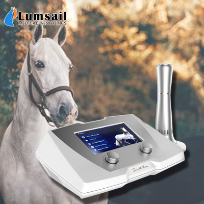 Veteriner Atı Şok Dalgası Terapi Makinesi 1-22 Hz Frekans 320 * 225 * 126mm