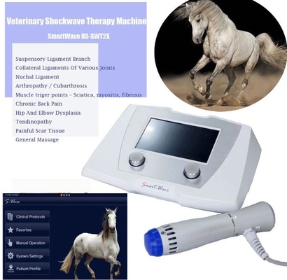At için Veteriner Radyal Nabız Dalgası ESWT At Shockwave Makinesi Terapi Cihazı