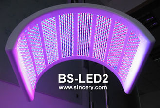 Profesyonel Güzellik Salonu LED Fototerapi Makinesi 10 - 110HZ Frekans