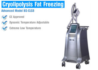 Akıllı Sıcaklık Kontrolü ile Vücut Zayıflama / Şekillendirme Cryolipolysis Yağ Donma Makinesi