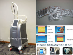 Akıllı Sıcaklık Kontrolü ile Vücut Zayıflama / Şekillendirme Cryolipolysis Yağ Donma Makinesi