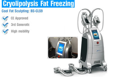 Güvenlik Cryolipolysis Yağ Kaybı Makineleri, Yağ Donma Vücut Şekillendirme Makinesi