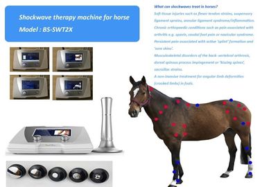 Akustik At Hayvan Ağrı Tedavisi Shockwave Terapi Sistemi 1-22Hz tetik noktası tedavisi