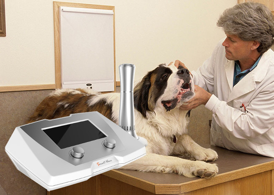 Veteriner Kullanımı Gecikmeli İyileşme Kırıkları Atçılık / Köpek Shockwave tedavisi Makinesi