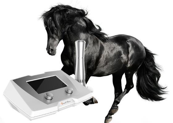 At Ve Küçük Hayvanlar İçin 190 MJ Yüksek Enerji Veteriner Şok Terapi Makinesi