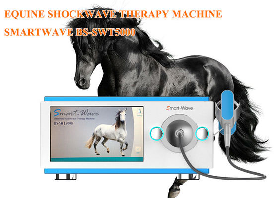 Profesyonel Fizyoterapi Radyal Shockwave Terapi Makinesi Atçılık Şok Dalga Ekipmanları