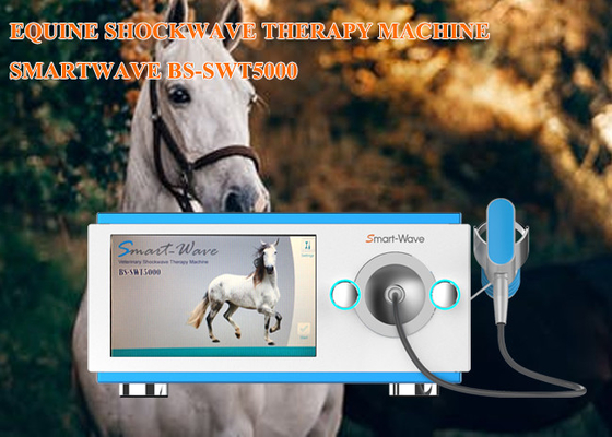 ESWT Horses Ekstrakorporeal Shockwave Terapi Cihazı