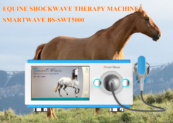 Fizyoterapi Yarış Atları Shockwave Terapi Makinesi