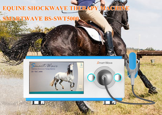 Fizyoterapi Yarış Atları Shockwave Terapi Makinesi