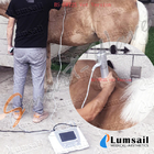 Radial ESWT Equine Veterinary Shockwave Therapy Machine